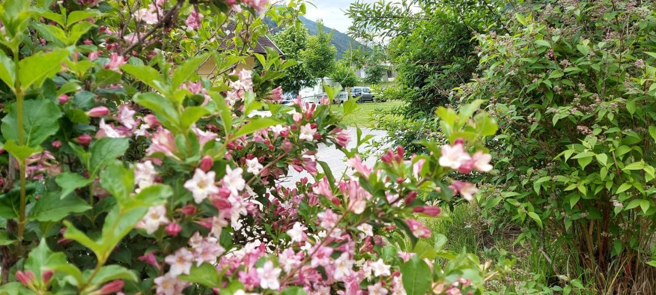 Camping Bella Austria Sankt Peter am Kammersberg Exterior foto